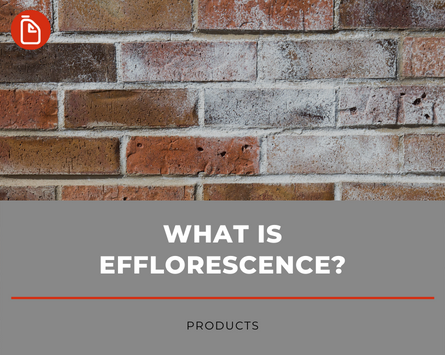 what_is_efflorescence_cover