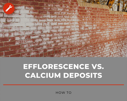 efflorescence_vs_calcium_deposits_cover